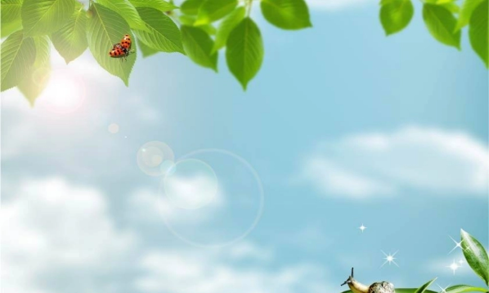 模板背景在课件中的选用1