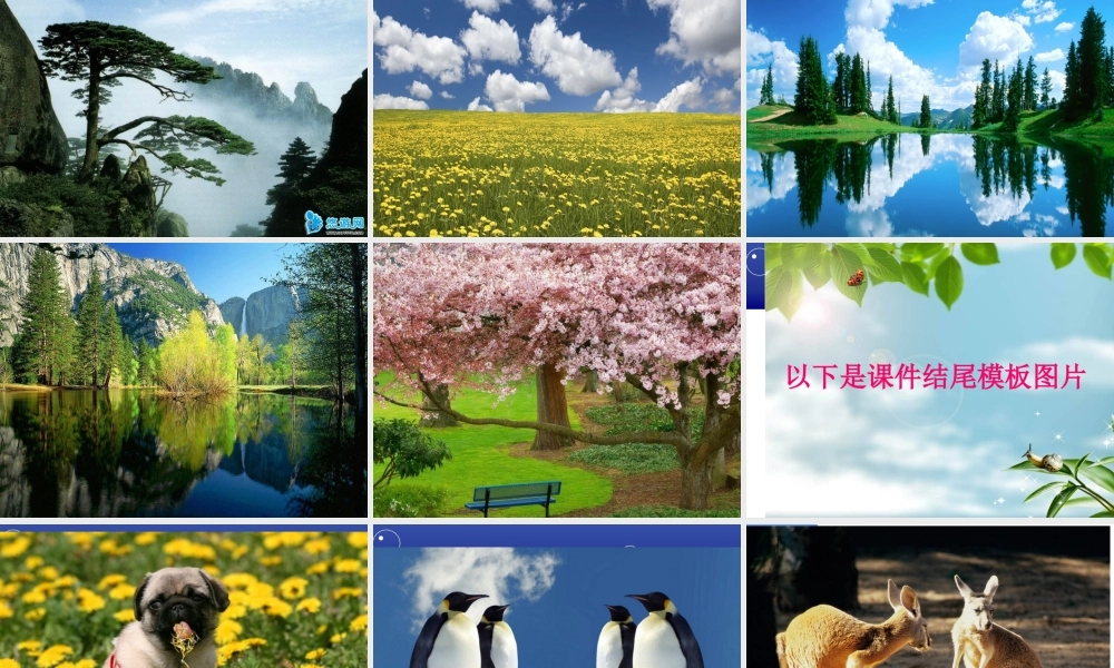 模板背景在课件中的选用1