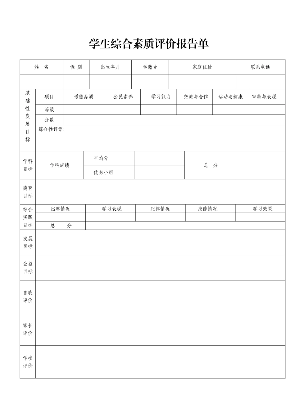 综合素质评价报告单_第1页