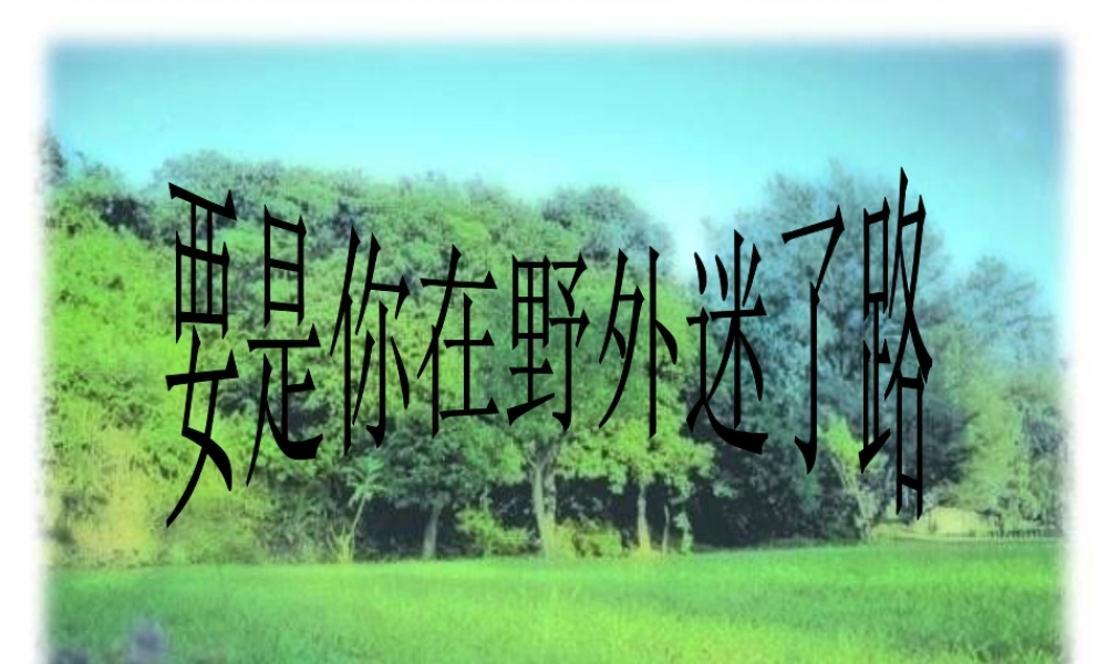要是你在野外迷了路PPT