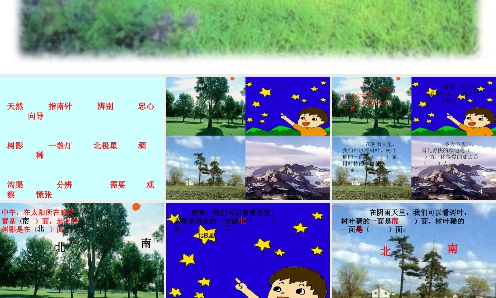 要是你在野外迷了路PPT