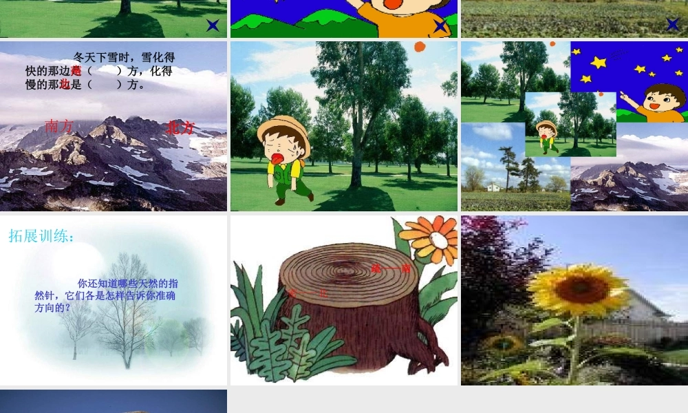 要是你在野外迷了路PPT