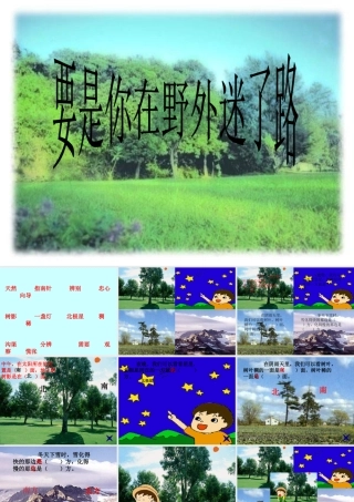 要是你在野外迷了路PPT