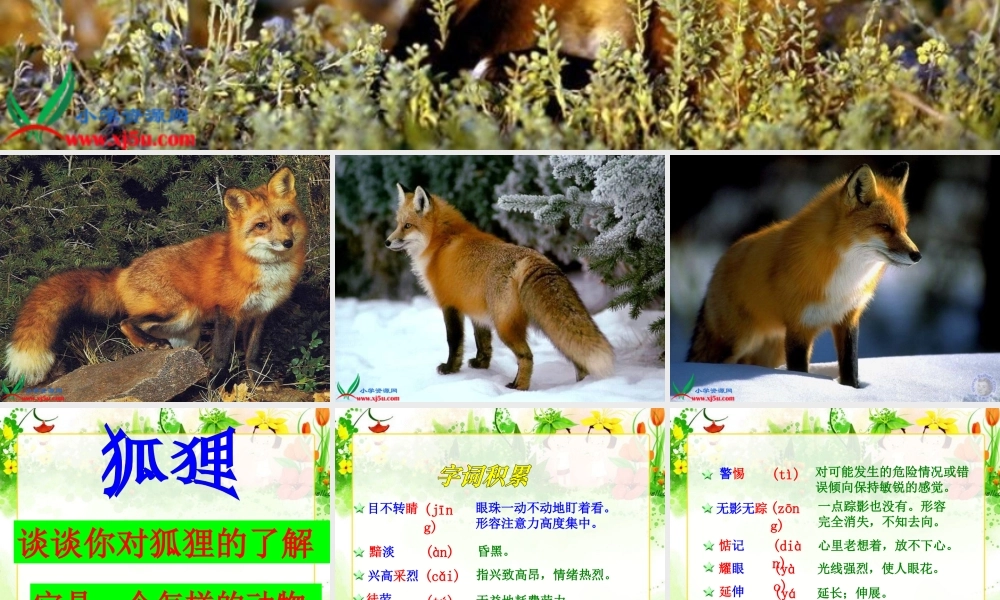 六年级上册第八单元金色的脚印