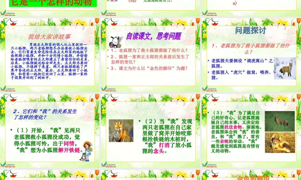 六年级上册第八单元金色的脚印