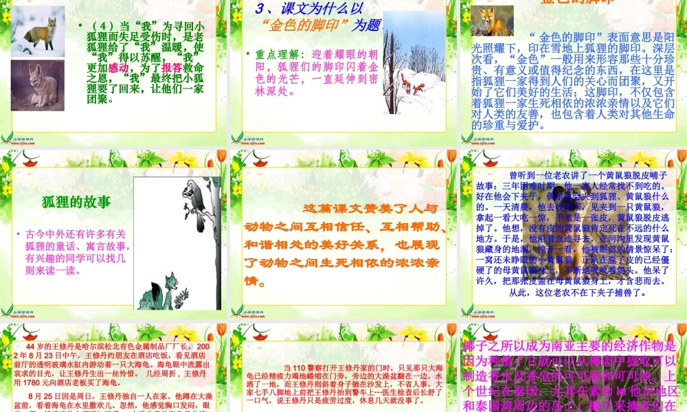 六年级上册第八单元金色的脚印