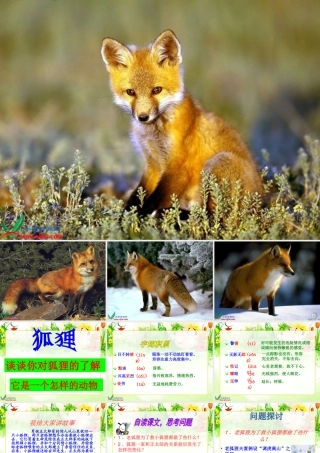 六年级上册第八单元金色的脚印