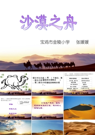沙漠之舟课件