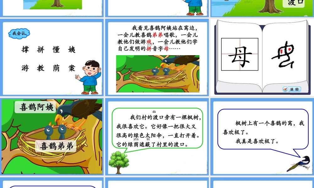 9枫树上的喜鹊-(4)