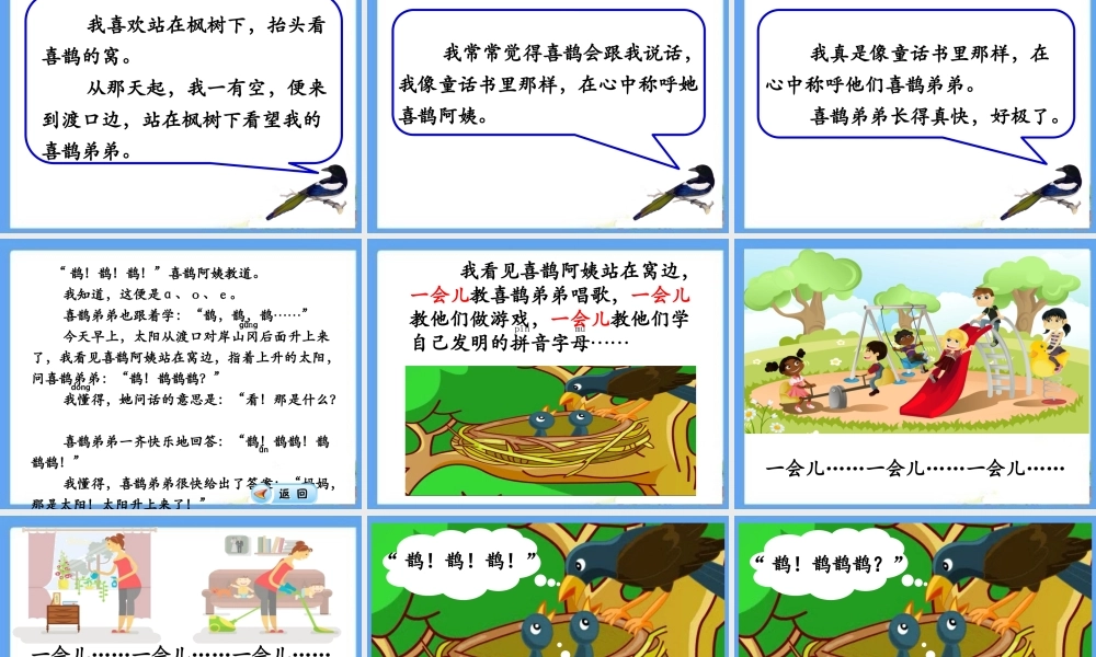 9枫树上的喜鹊-(4)