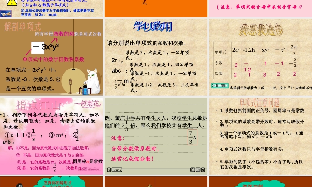 单项式1111