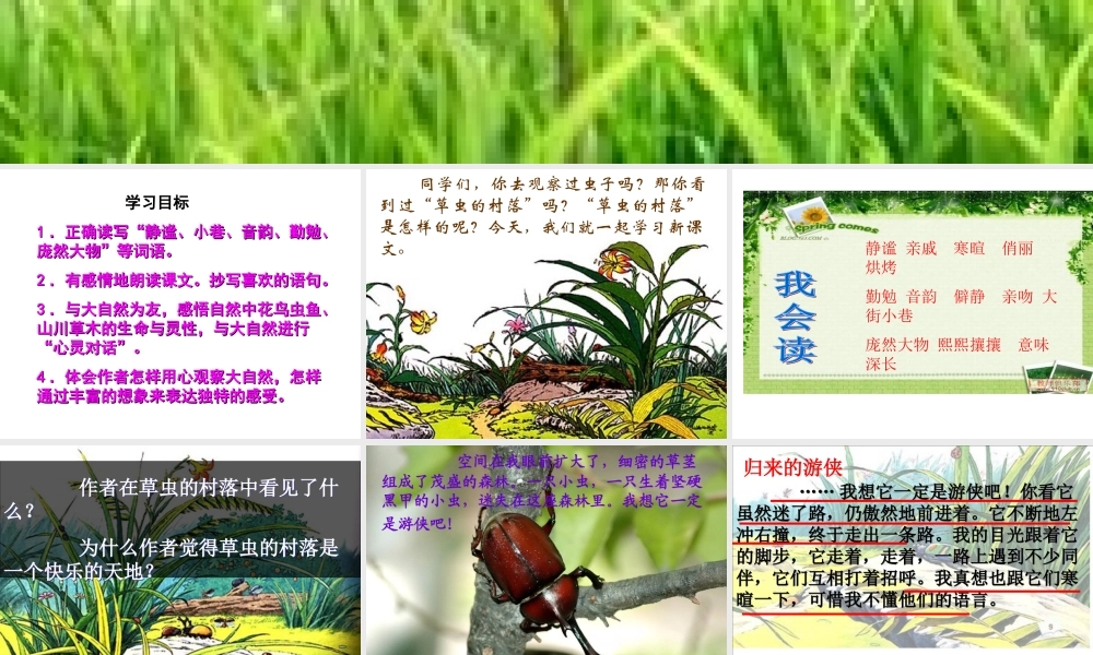 草虫村落课件