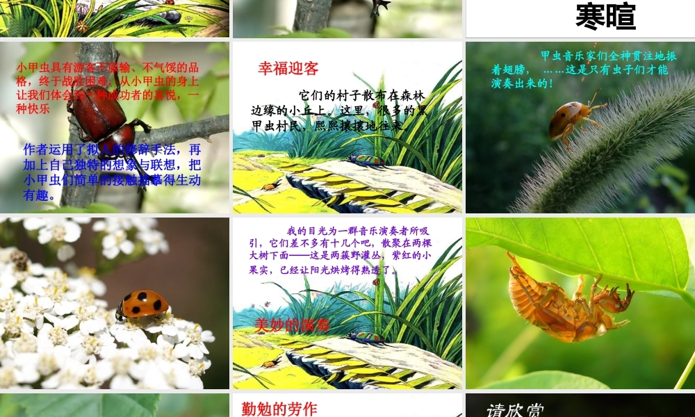 草虫村落课件