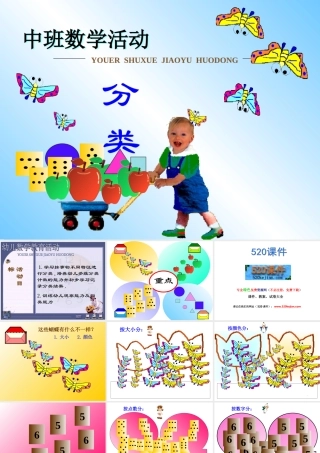 幼儿园《数学分类》中班算术课件