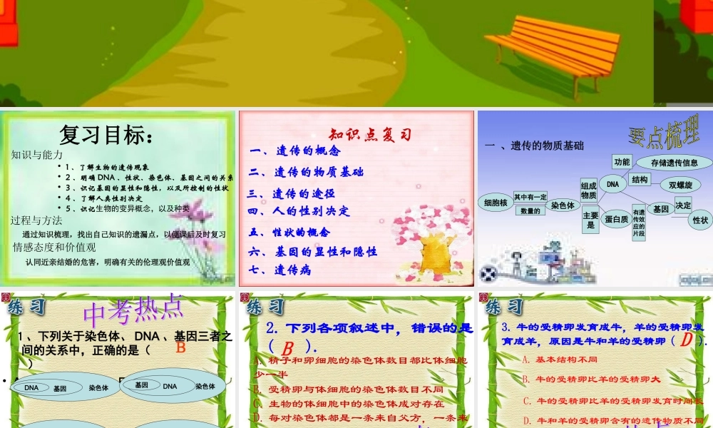 生物的遗传和变异 (2)