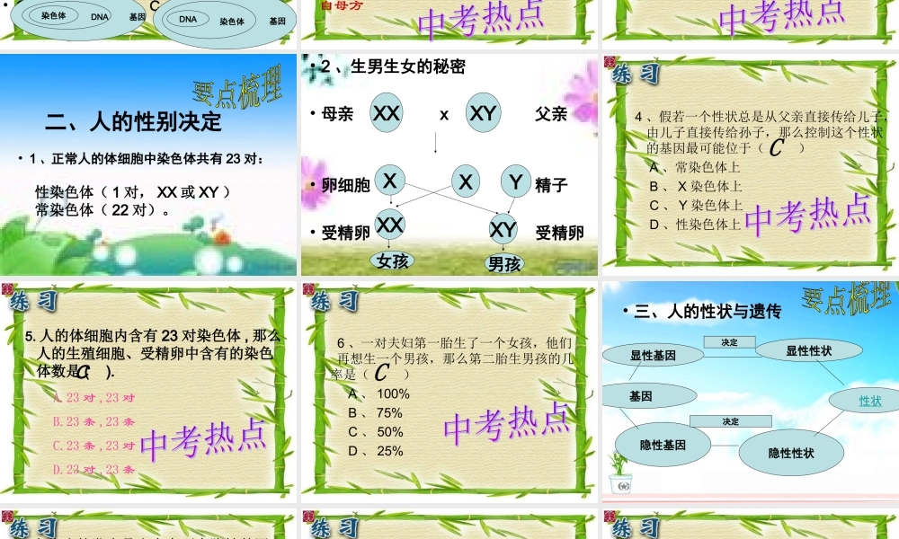 生物的遗传和变异 (2)