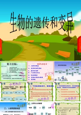 生物的遗传和变异 (2)