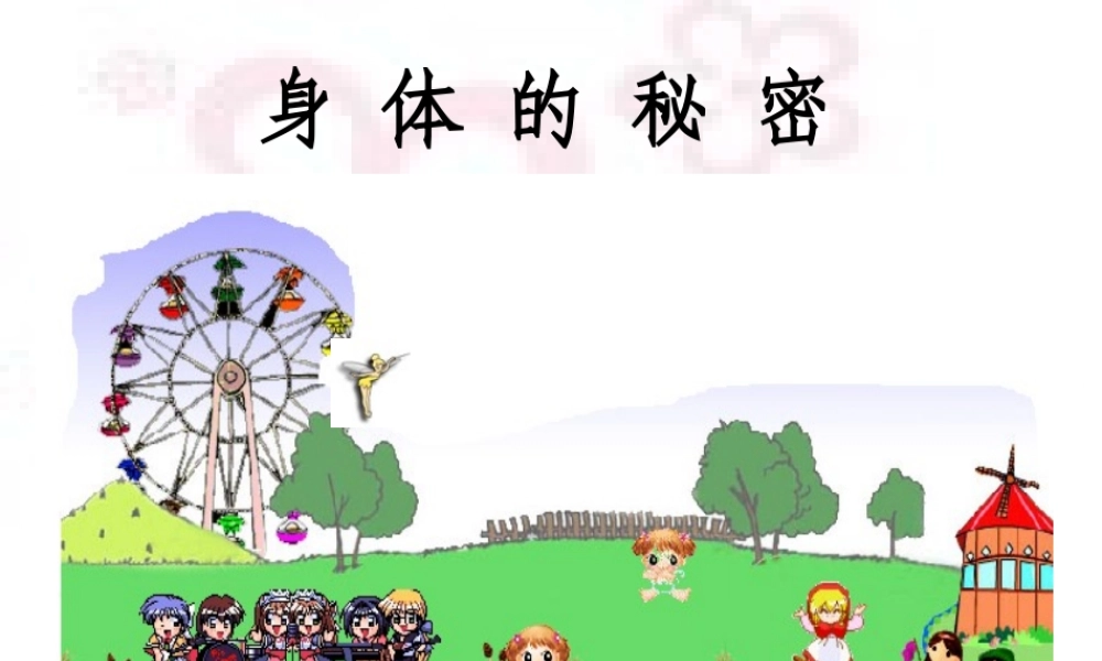 身体的秘密 (3)