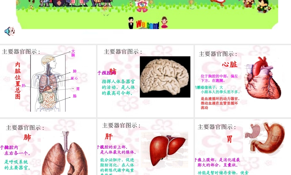 身体的秘密 (3)