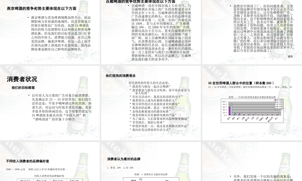 XX啤酒夏季策划案