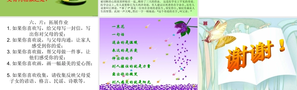 《父母心》课件