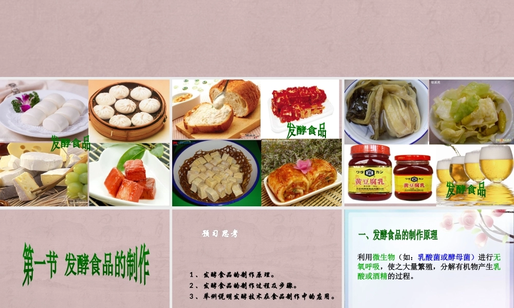 第三章---1发酵食品的制作