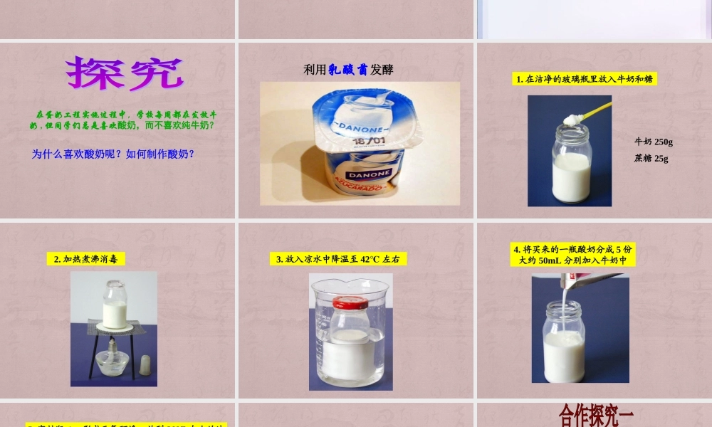 第三章---1发酵食品的制作