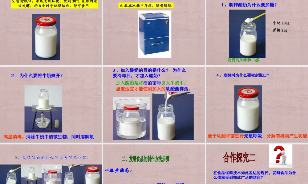 第三章---1发酵食品的制作