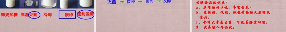 第三章---1发酵食品的制作