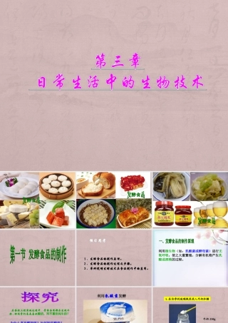 第三章---1发酵食品的制作