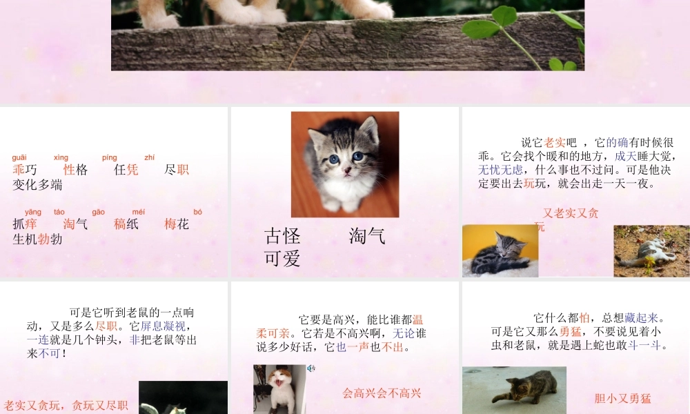 四年级语文上册第四组15猫第二课时课件