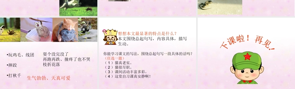 四年级语文上册第四组15猫第二课时课件