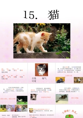 四年级语文上册第四组15猫第二课时课件