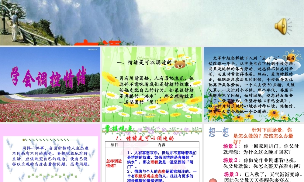 六年级心理课件