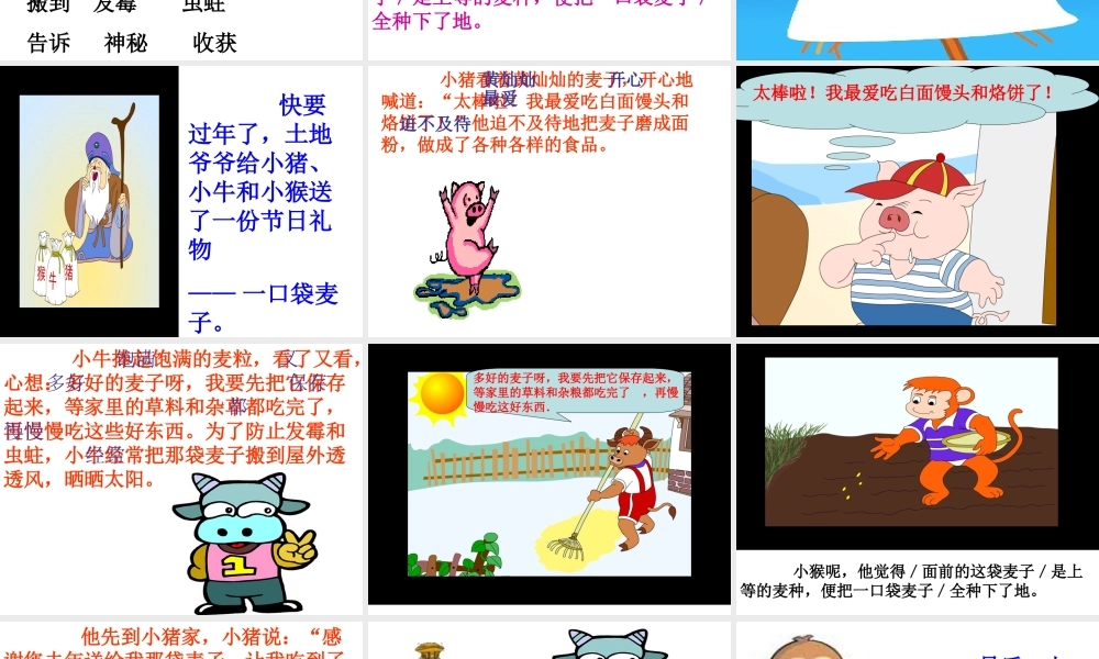 三袋麦子讲课用