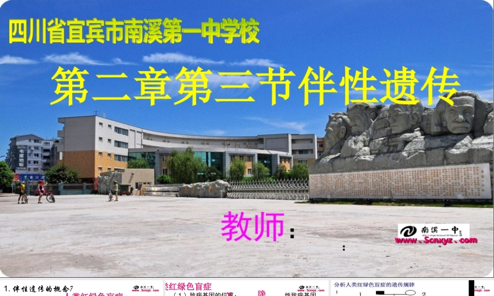 伴性遗传课件
