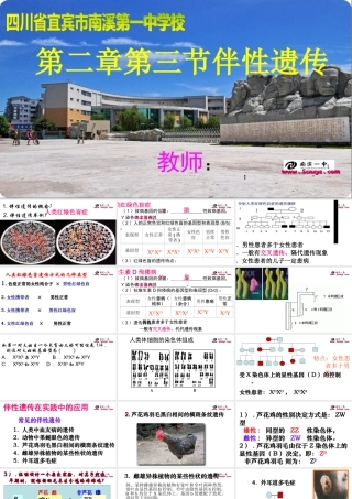 伴性遗传课件