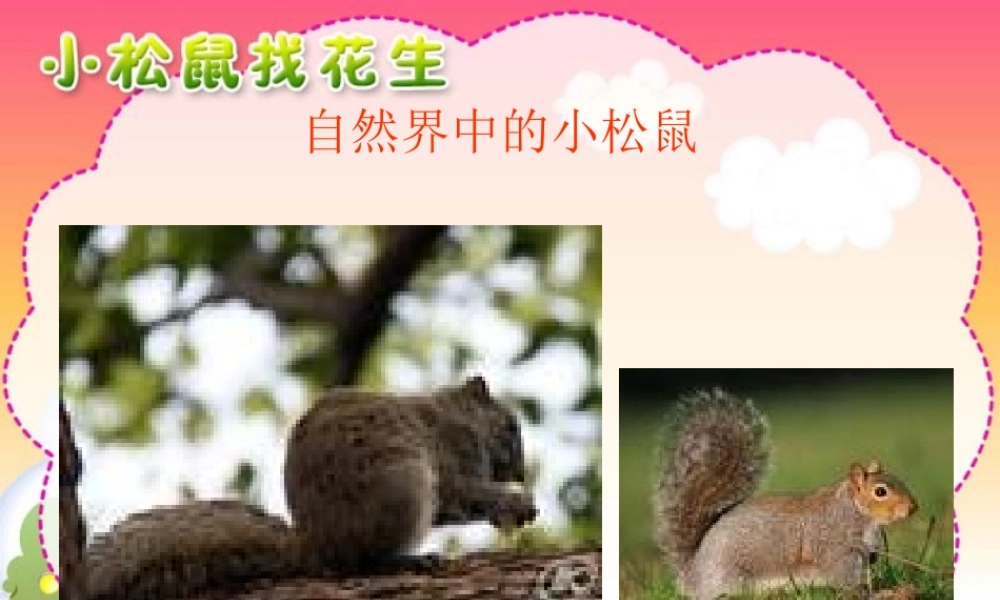 人教版小学一年级语文上《小松鼠找花生》课件