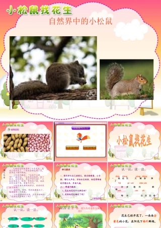 人教版小学一年级语文上《小松鼠找花生》课件