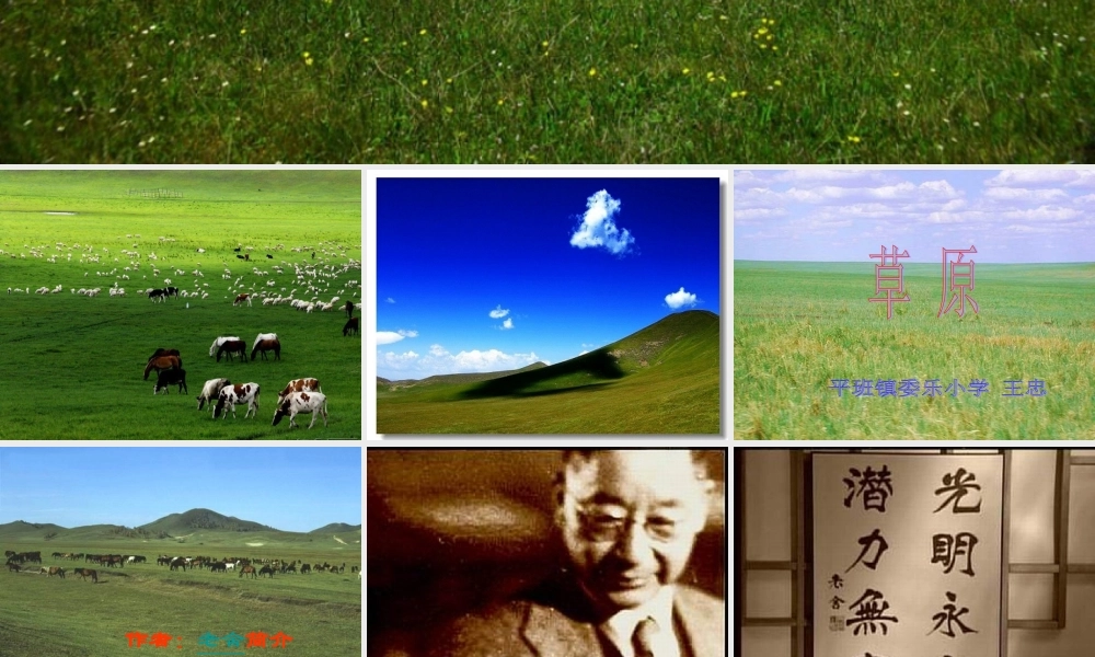 草原课件 (2)
