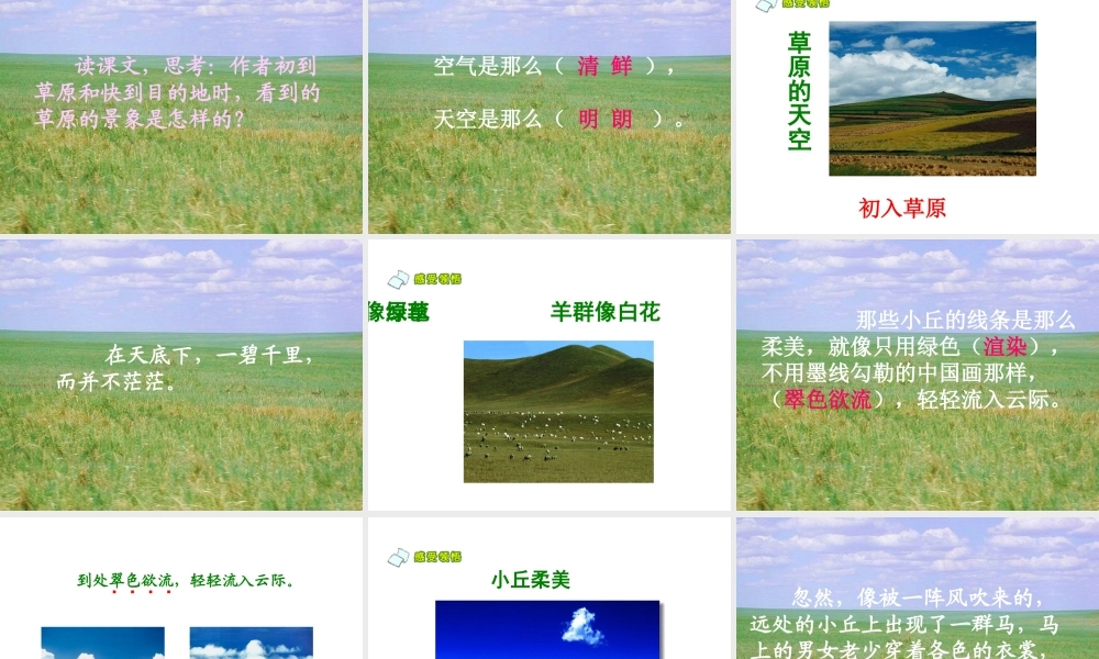 草原课件 (2)