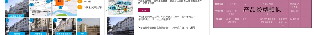 2006年锦州宝地城营销执行报告