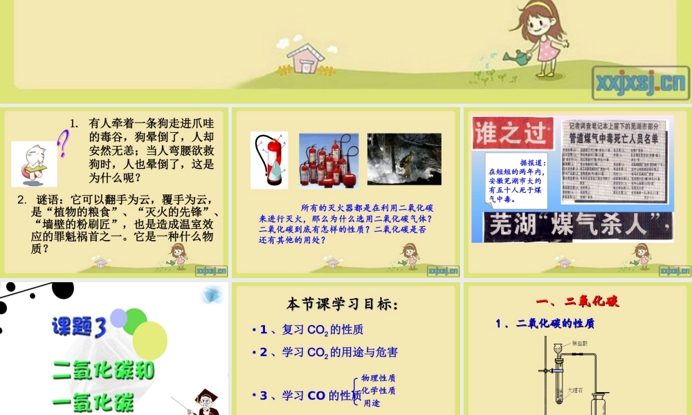 二氧化碳的性质及应用