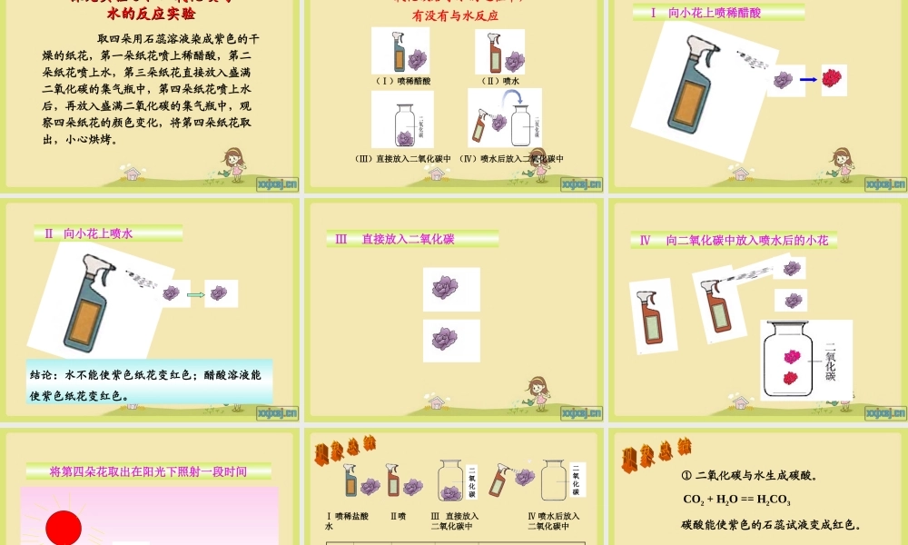 二氧化碳的性质及应用