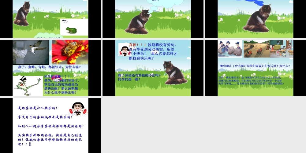 9波斯猫找快乐