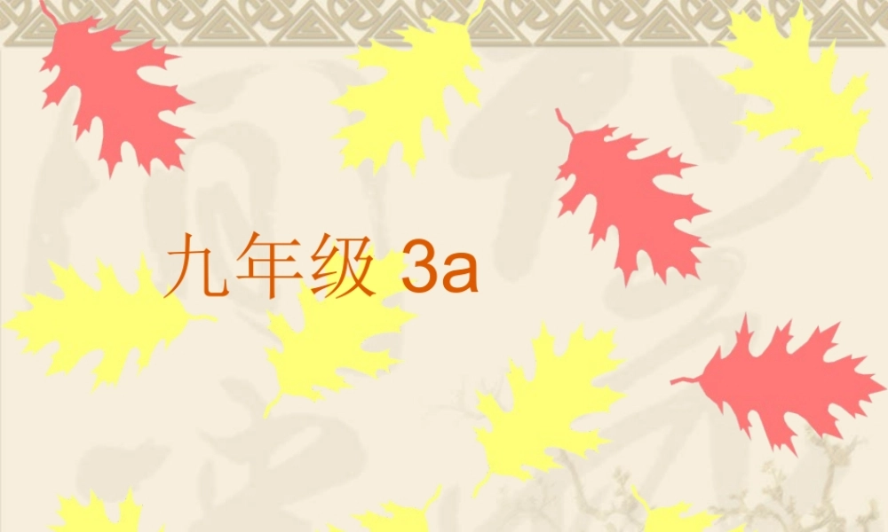 九年级3a课文课件()