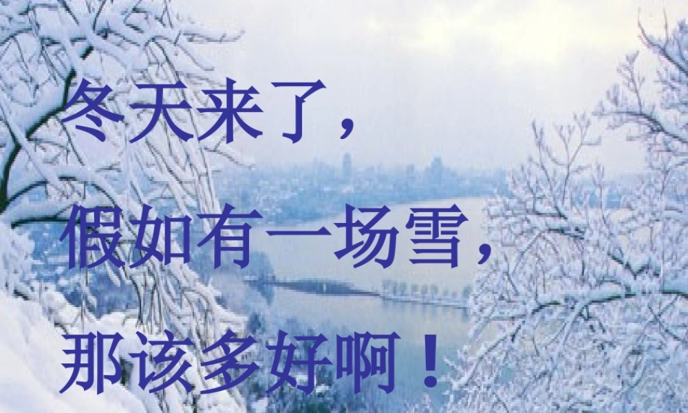 八年级语文上册《湖心亭看雪》优秀课件