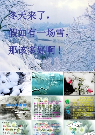 八年级语文上册《湖心亭看雪》优秀课件