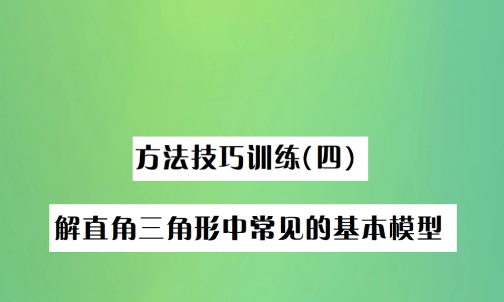 中考数学复习 第四单元 图形的初步认识与三角形 方法技巧训练(四)解直角三角形中常见的基本模型课件