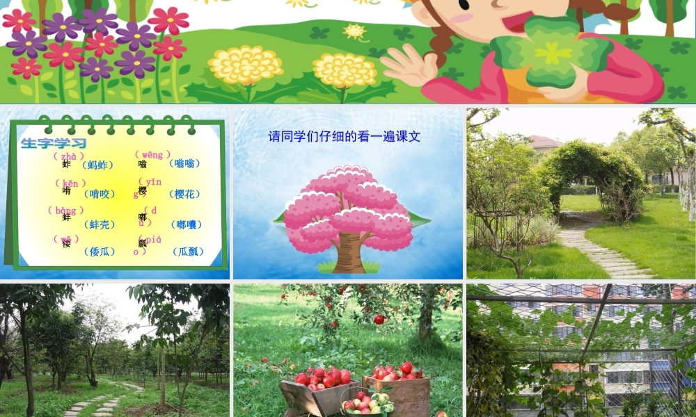 《祖父的园子》教学课件2